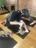 Puppy Yoga Class