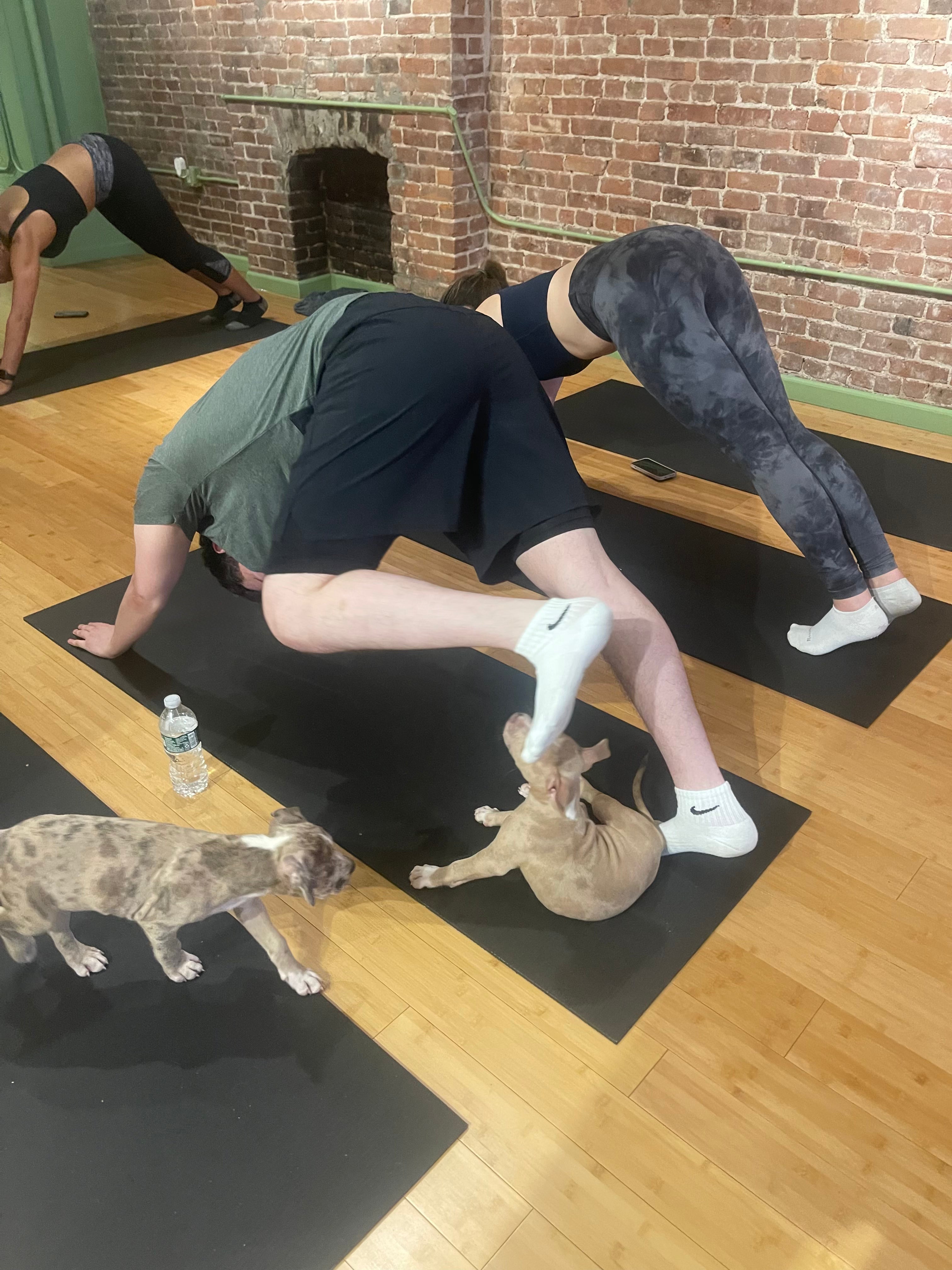 Puppy Yoga Class